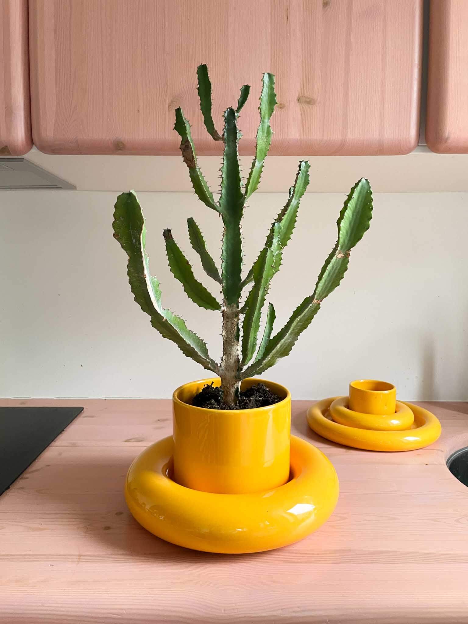 Chunky Flower Pot Yellow